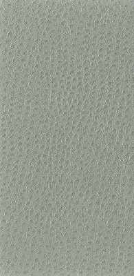 Kravet Basics-Nuostrich-11