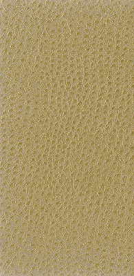 Kravet Basics-Nuostrich-16
