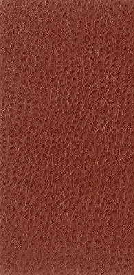 Kravet Basics-Nuostrich-24
