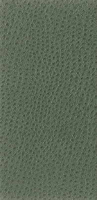 Kravet Basics-Nuostrich-3