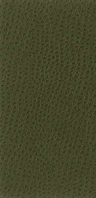 Kravet Basics-Nuostrich-30