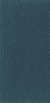 Kravet Basics-Nuostrich-5