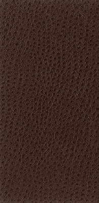 Kravet Basics-Nuostrich-6