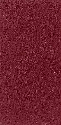 Kravet Basics-Nuostrich-9
