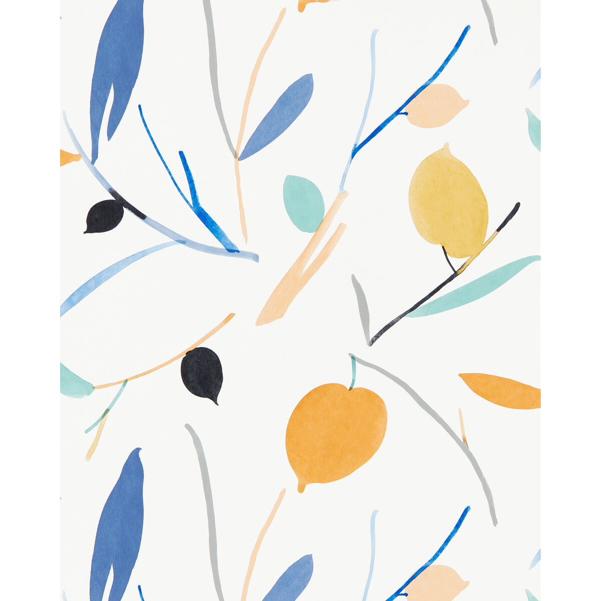 Oxalis Wp-Papaya/Honey