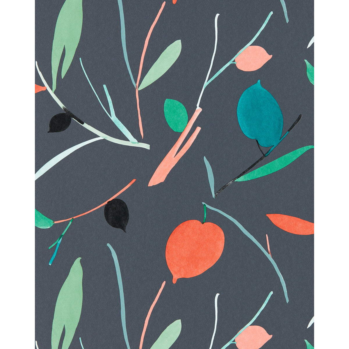 Oxalis Wp-Pimento/Marine