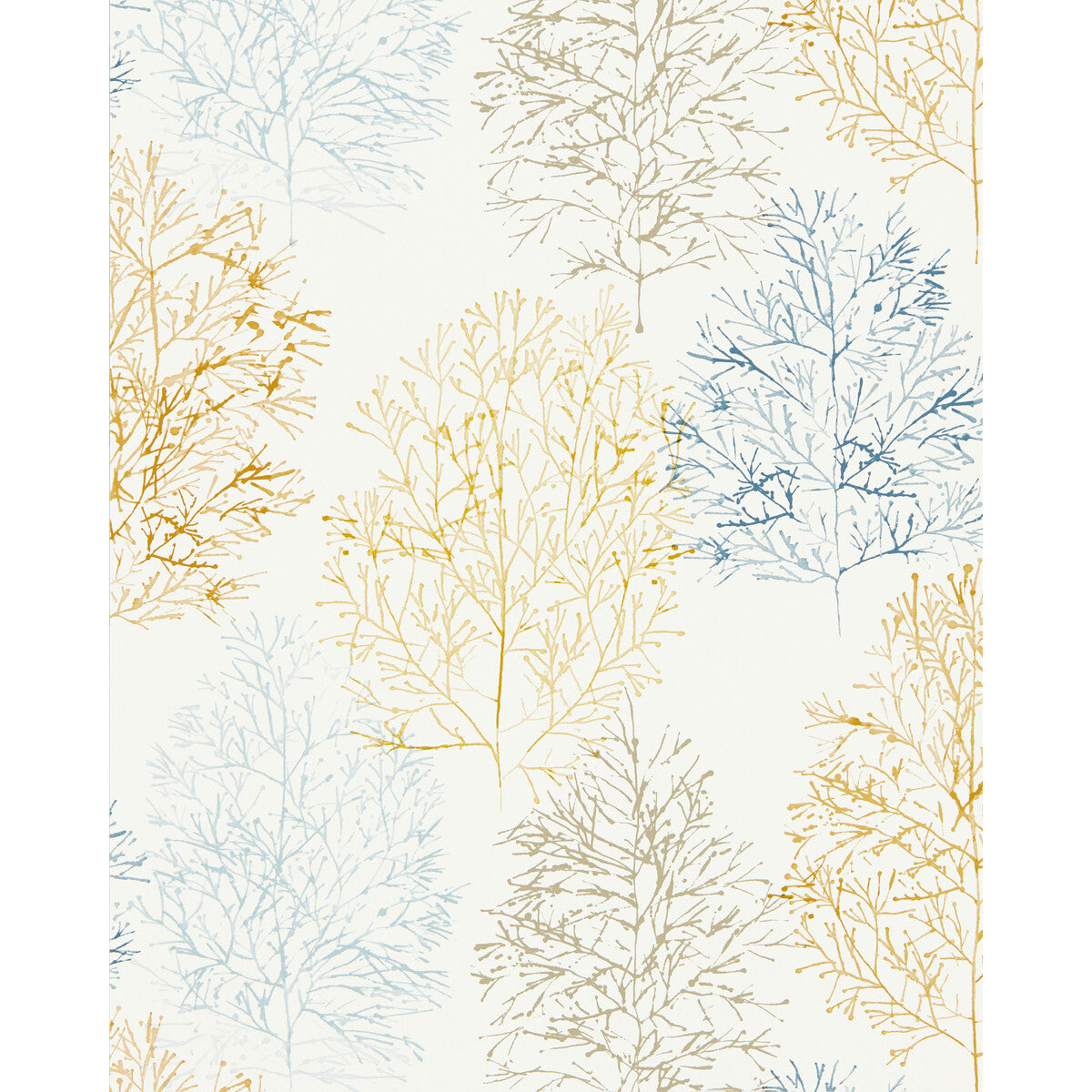 Soetsu Wp-Stonewash/Papaya