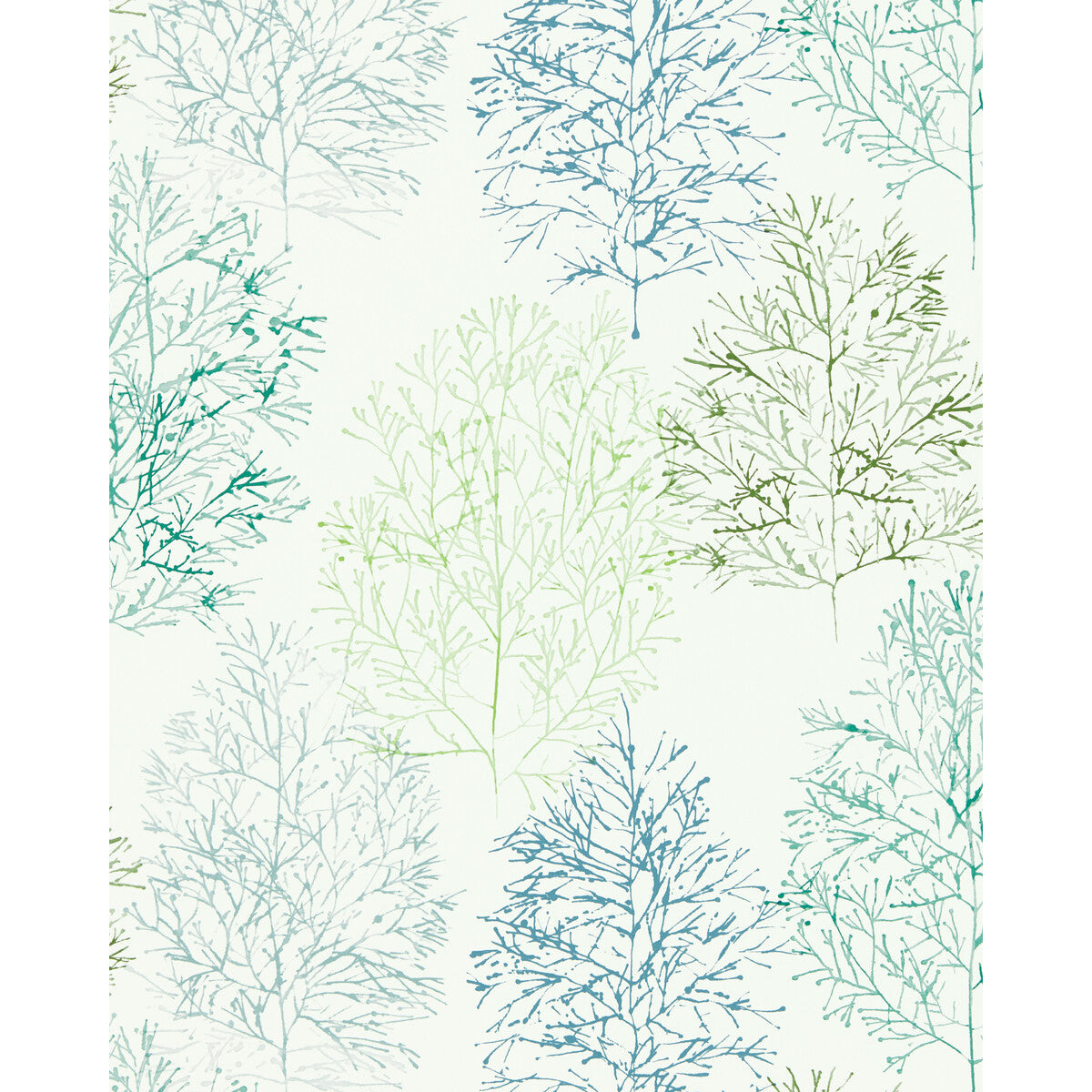 Soetsu Wp-Kiwi/Slate