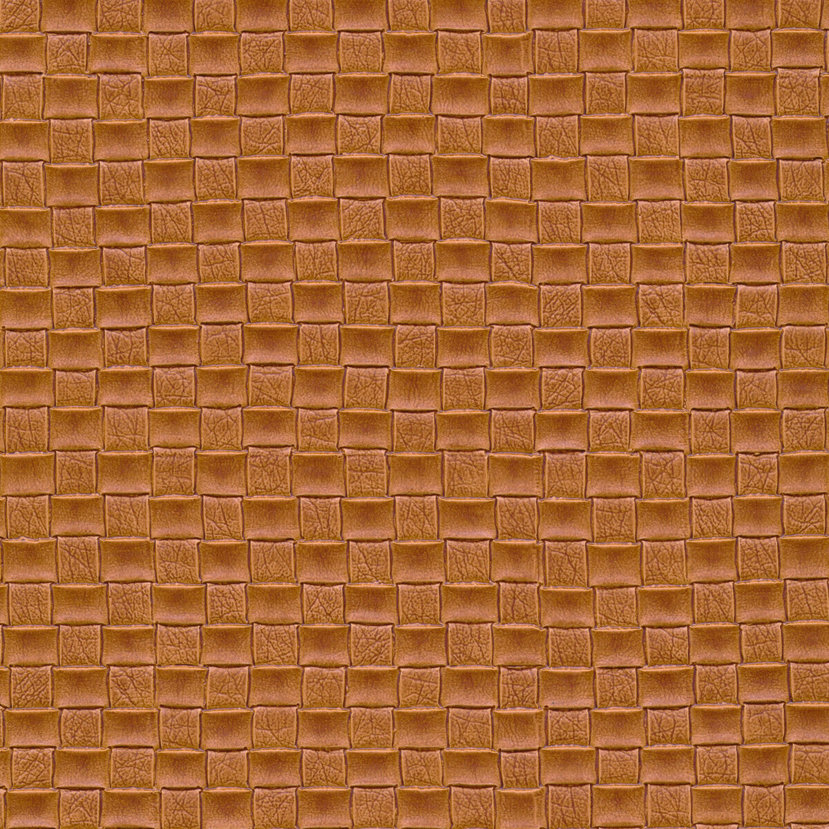 Kravet Design-Olia-166