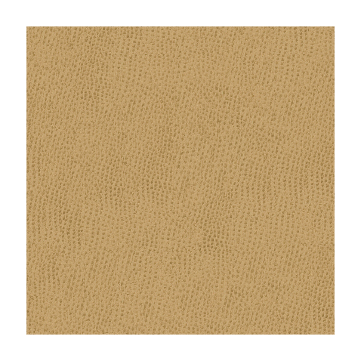 Kravet Smart-Ossy-1616