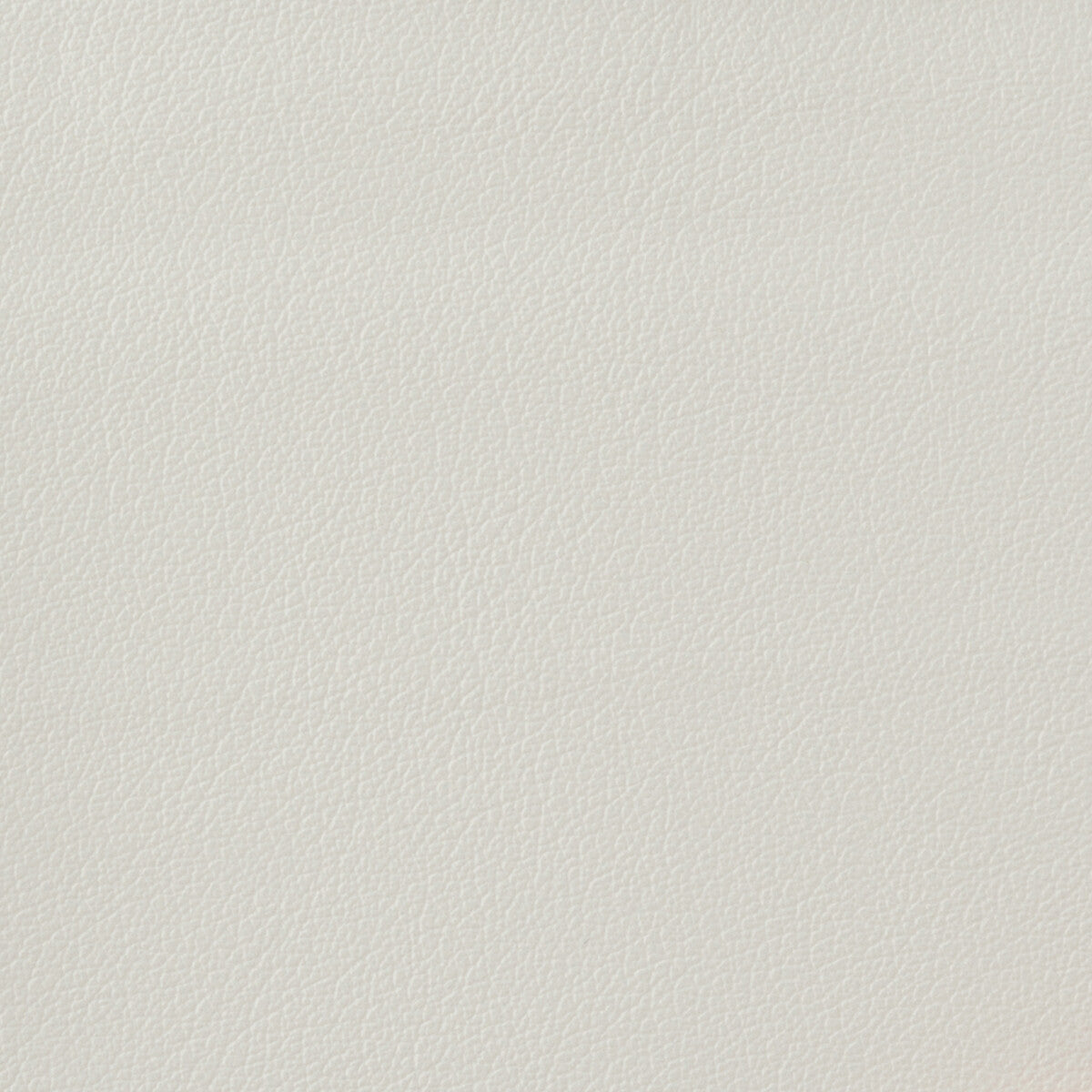 Kravet Basics-Otto-101