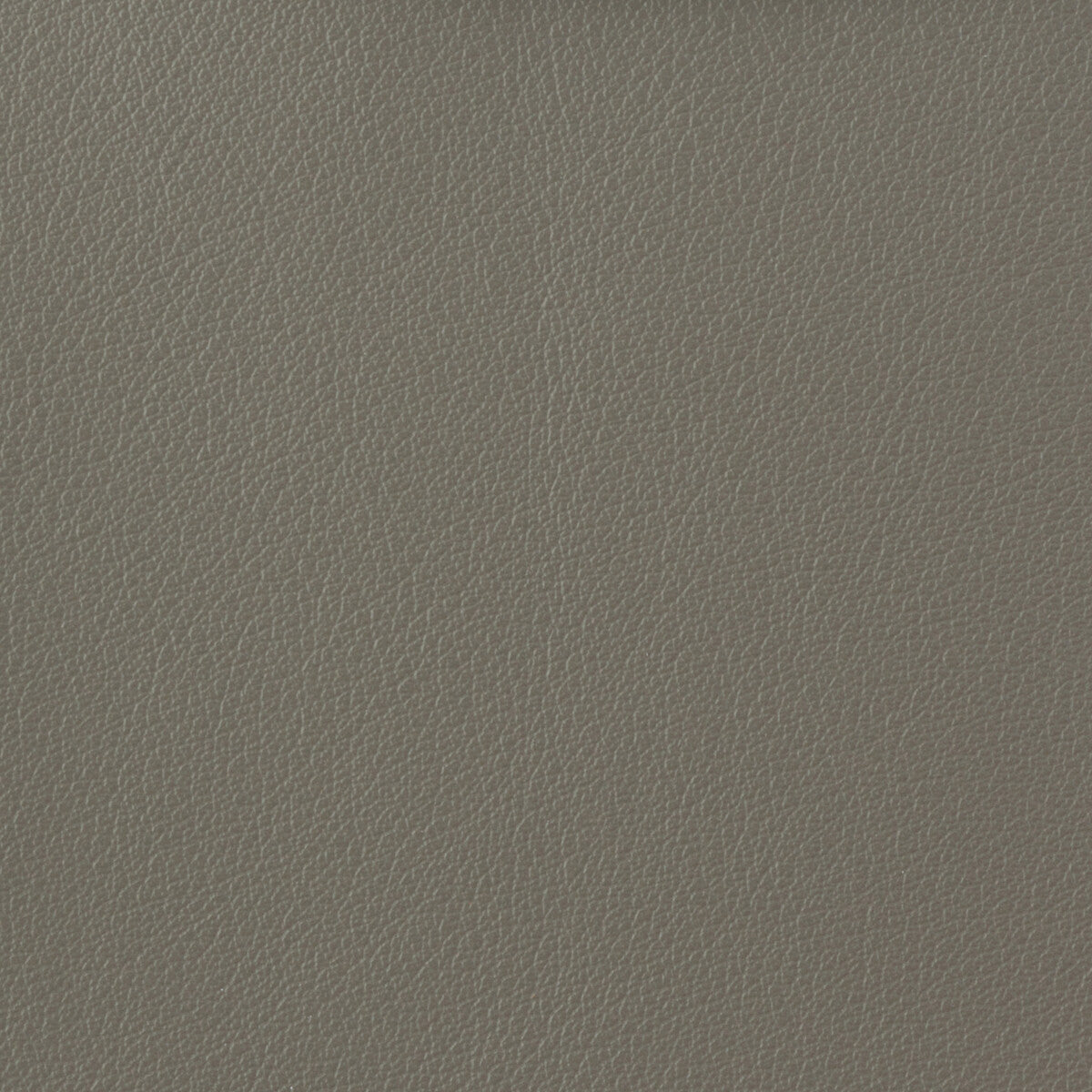 Kravet Basics-Otto-11