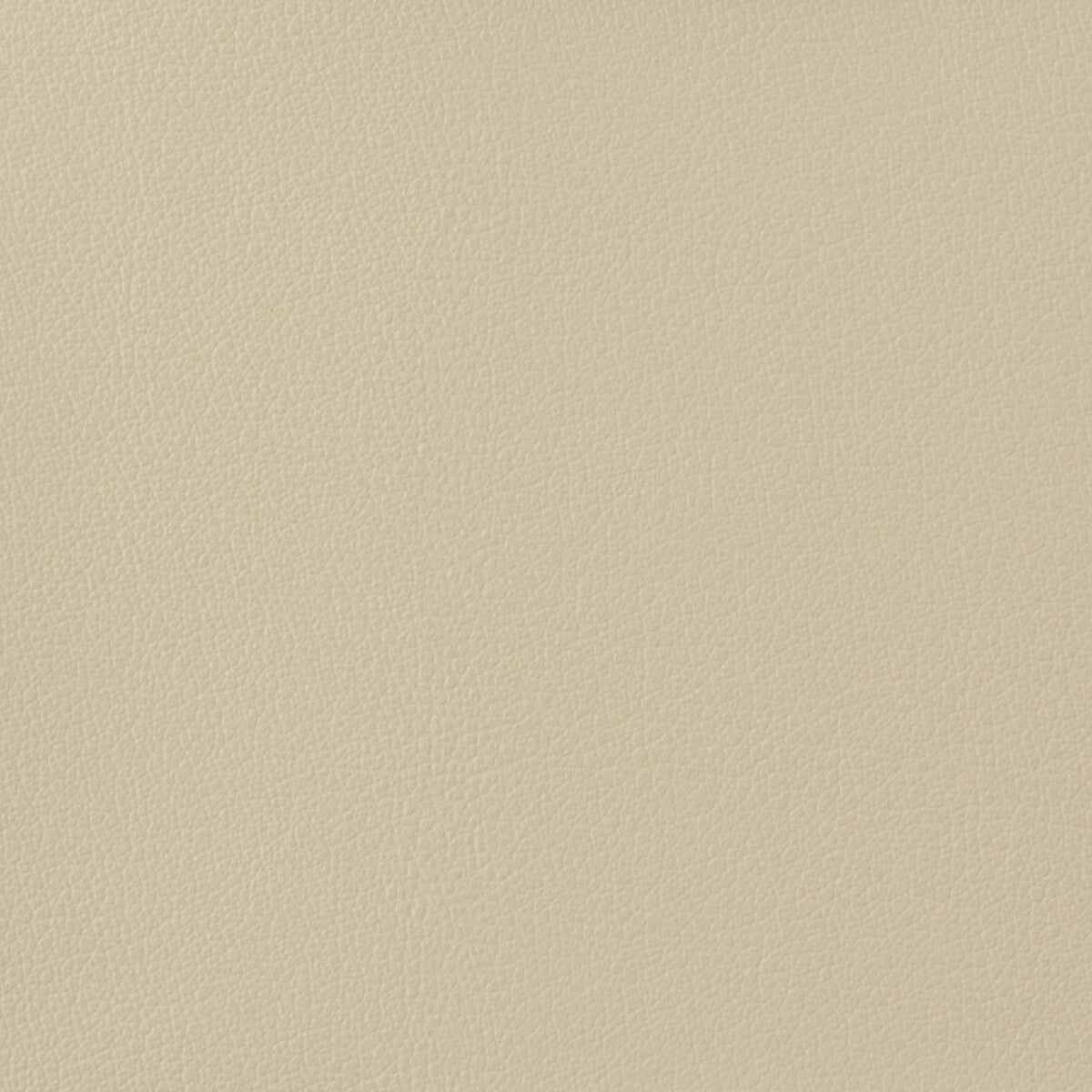 Kravet Basics-Otto-1116