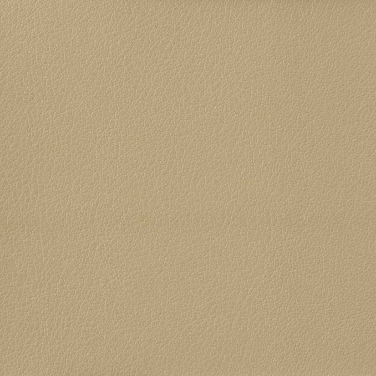 Kravet Basics-Otto-116