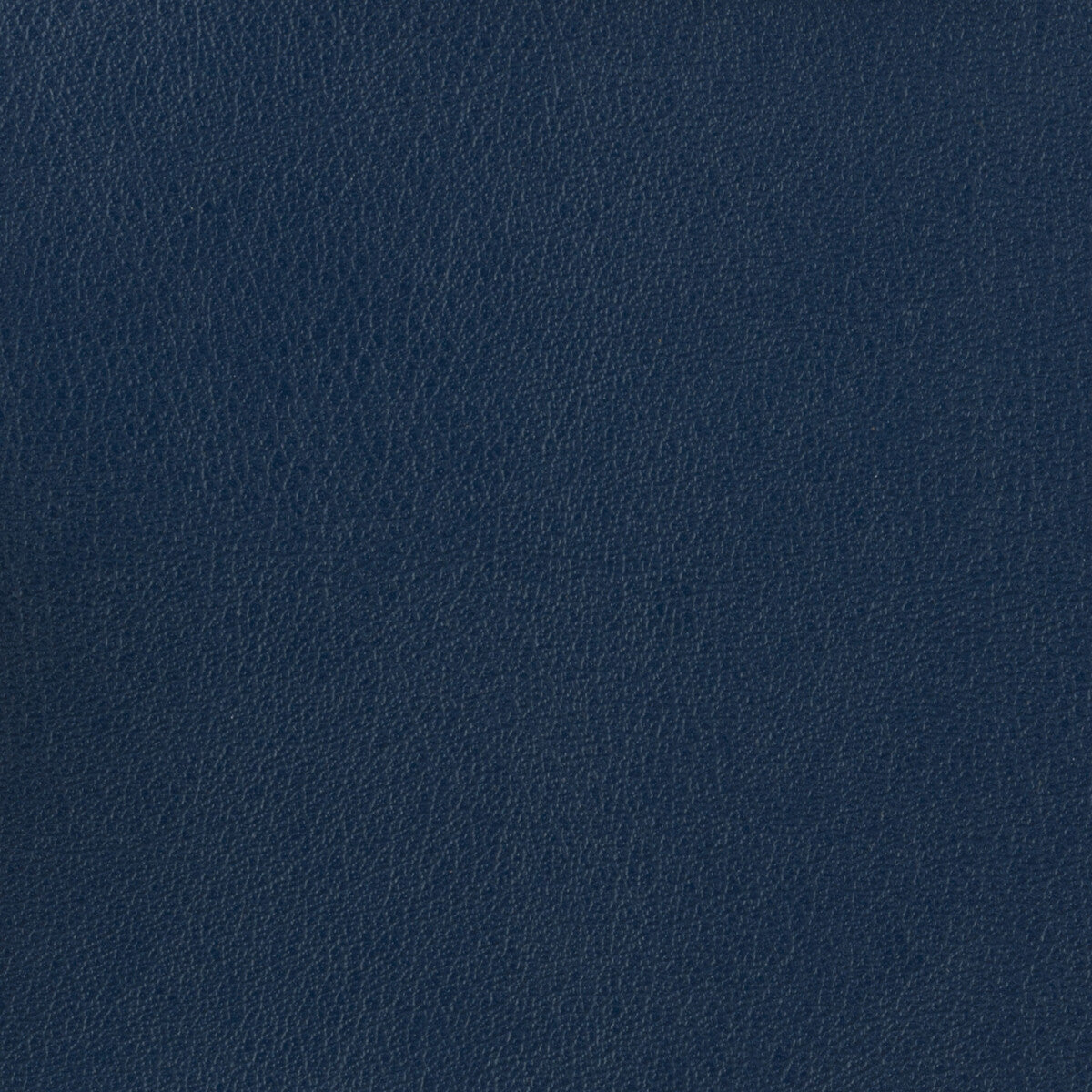 Kravet Basics-Otto-50