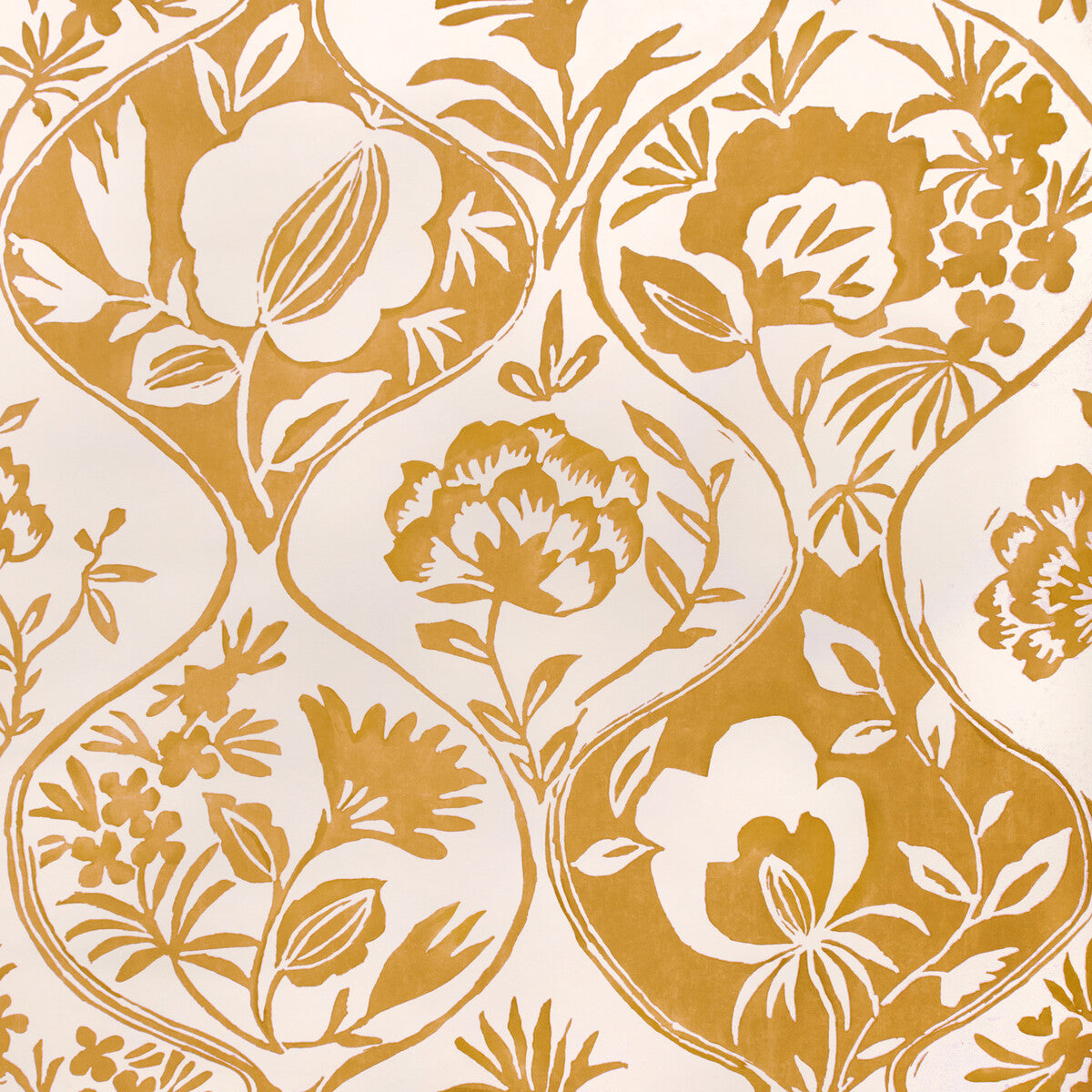 Calathea Paper-Gold