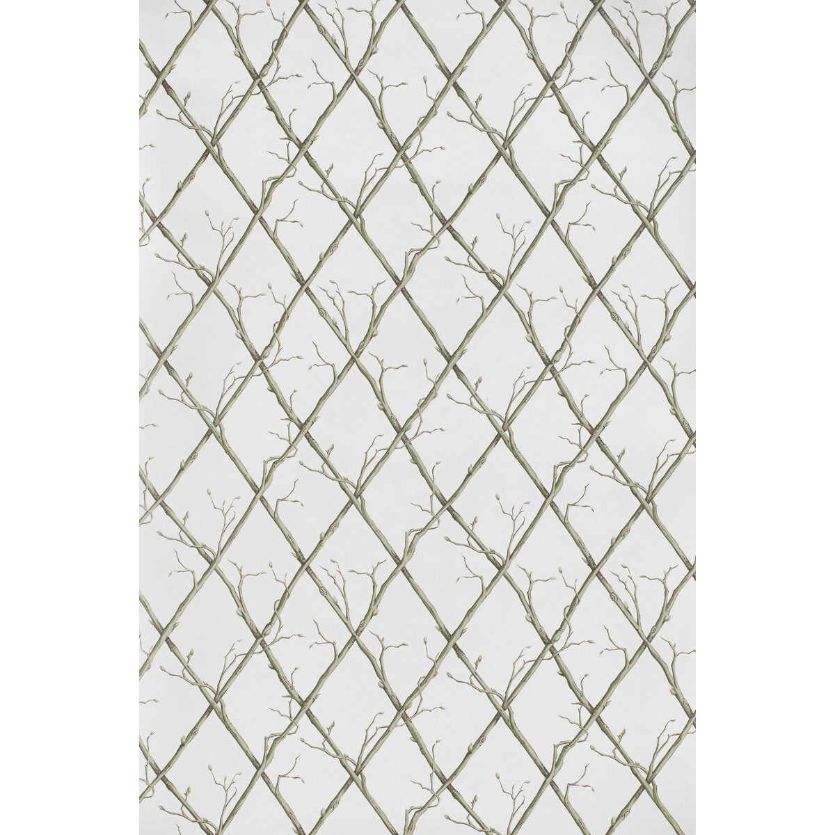 Twig Trellis Wp-Green