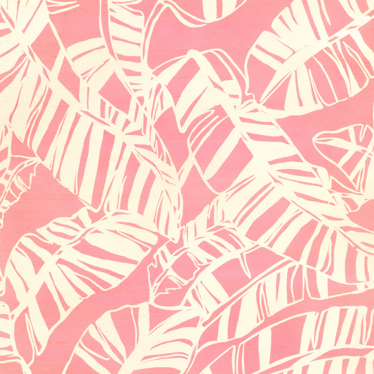 Just Bananas Gc-Pink