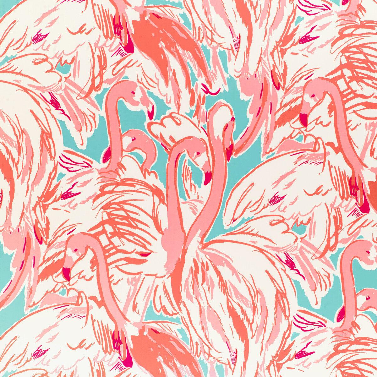 Pink Colony Wp-Aqua/Pink