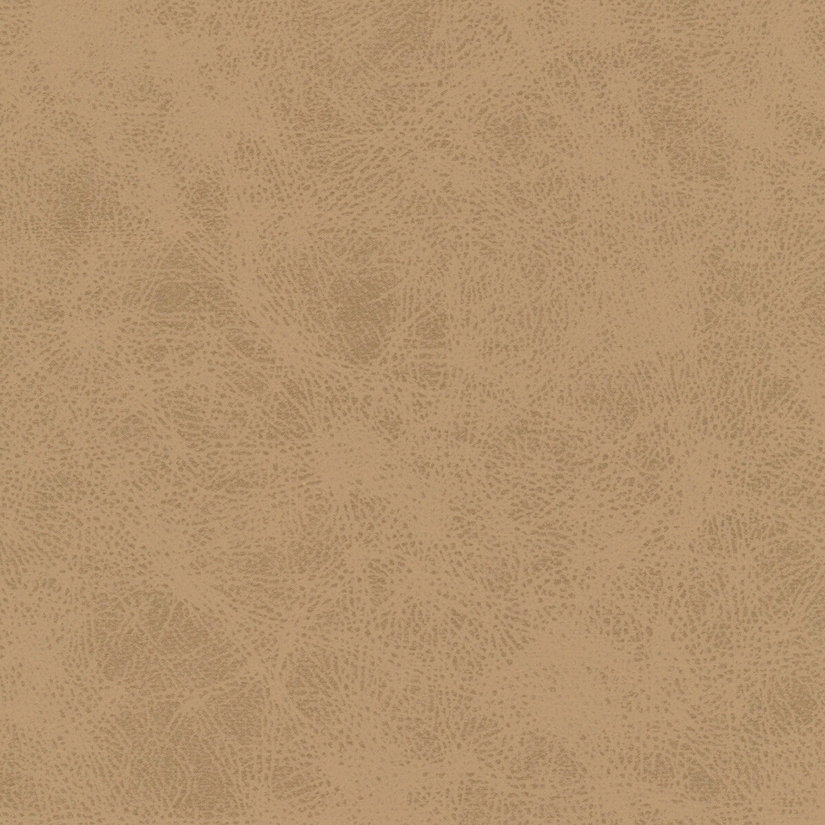 Kravet Design-Patch-106