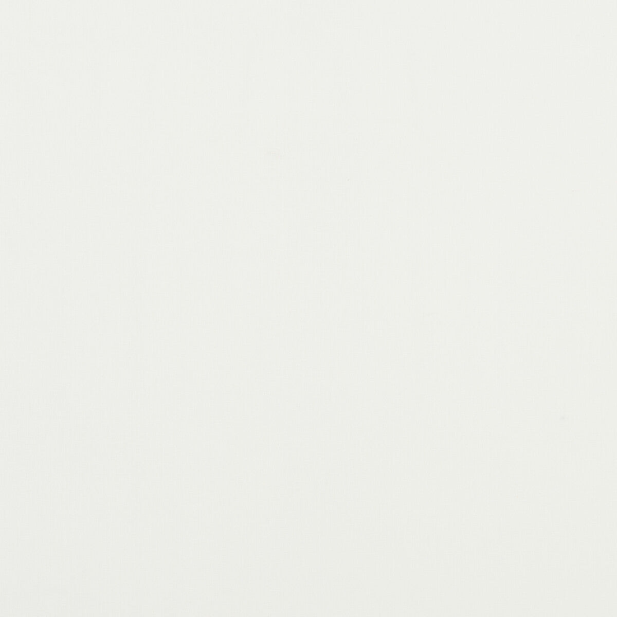 Carnival Plain-Marble