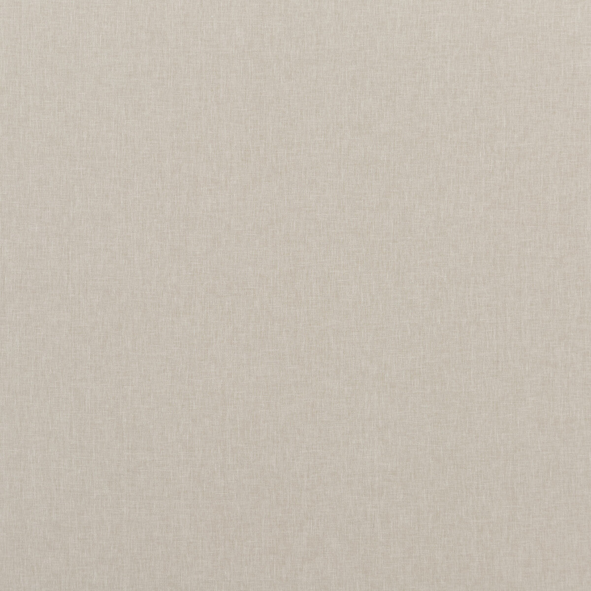 Carnival Plain-Pumice