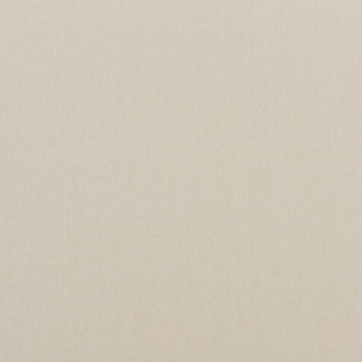 Carnival Plain-Parchment