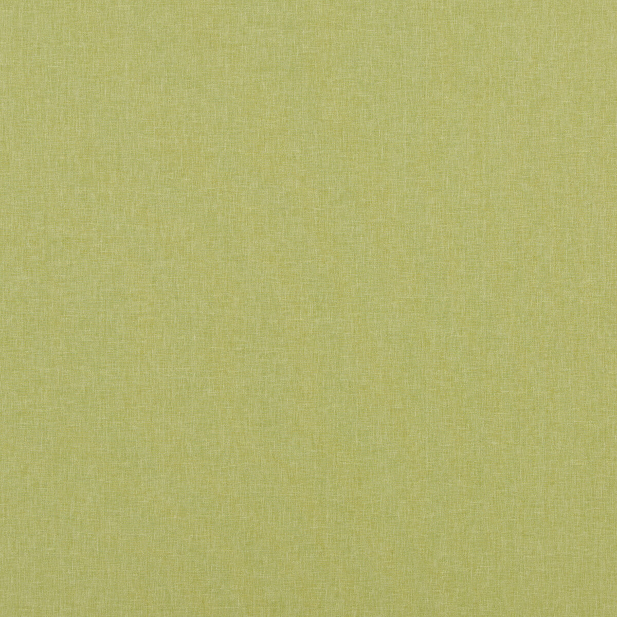 Carnival Plain-Lime