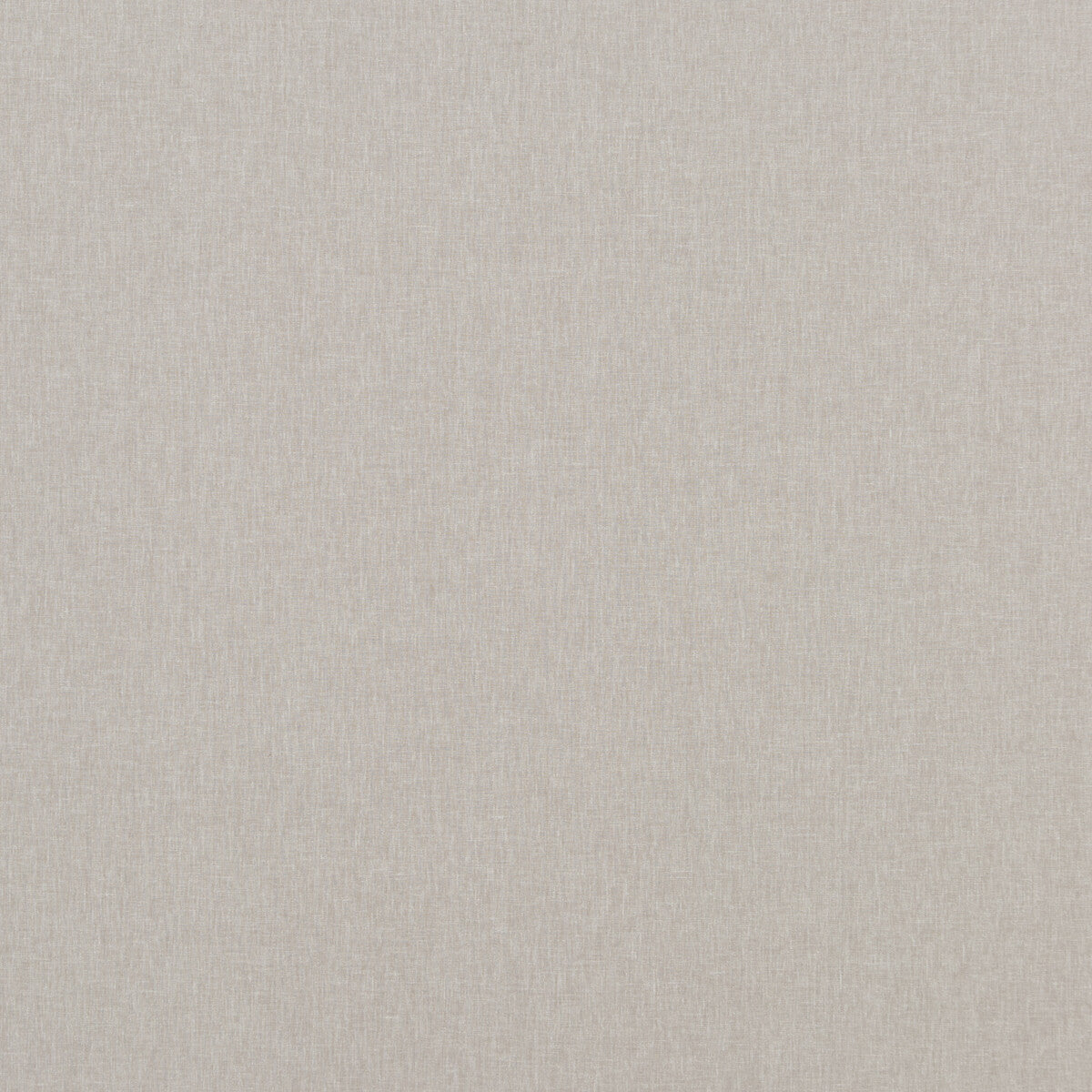 Carnival Plain-Silver