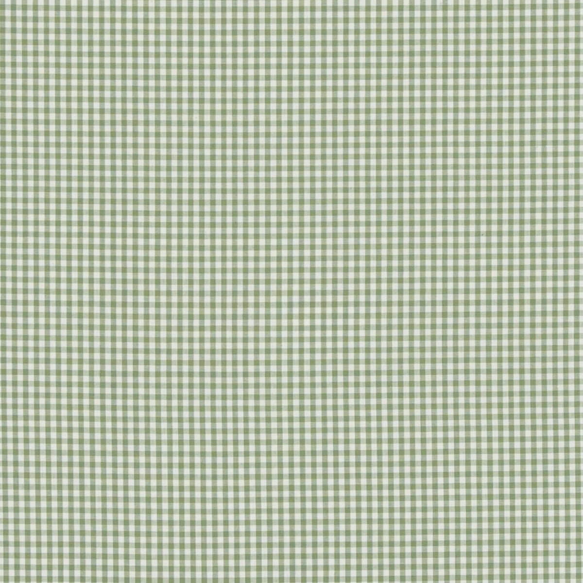 Sherborne Gingham-Green
