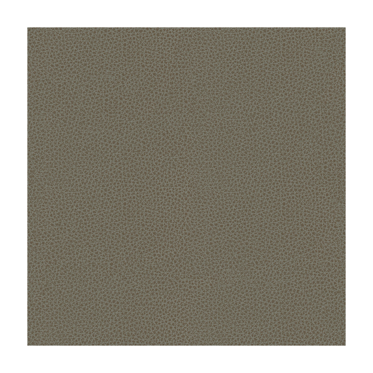 Kravet Design-Rigel-11