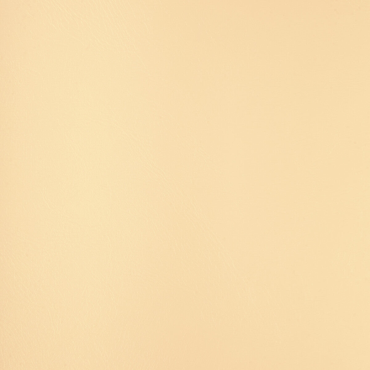 Kravet Design-Rind-101