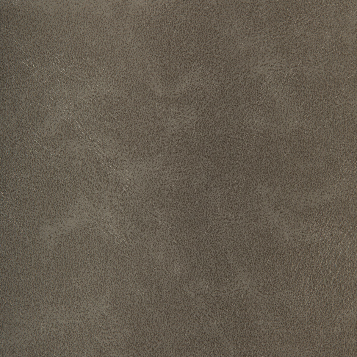 Kravet Design-Rind-11