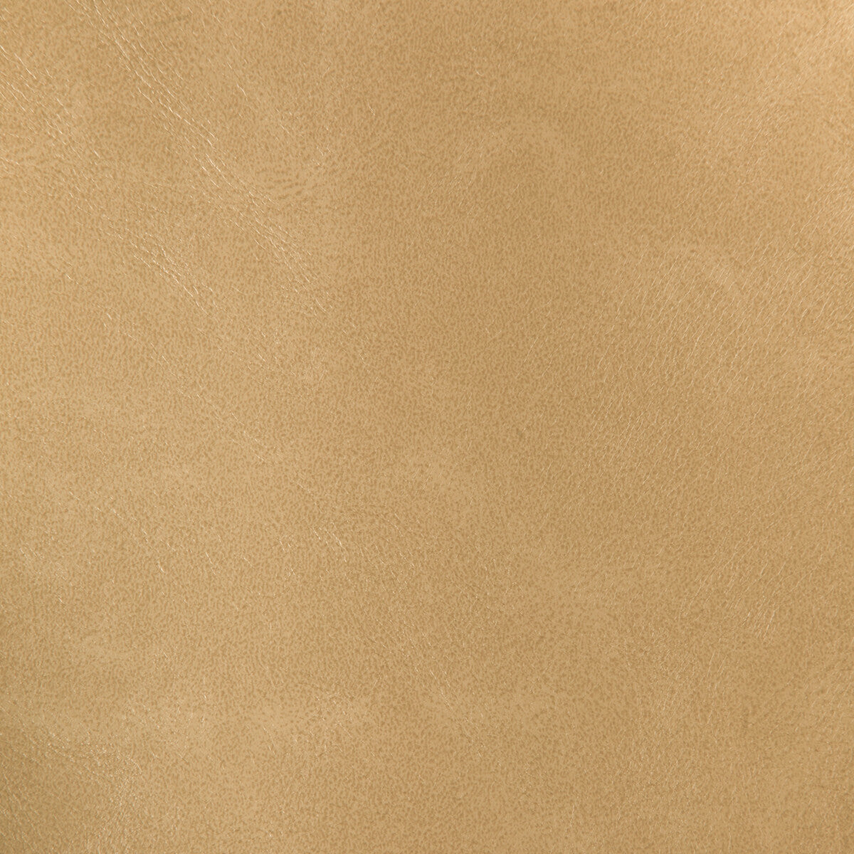 Kravet Design-Rind-16