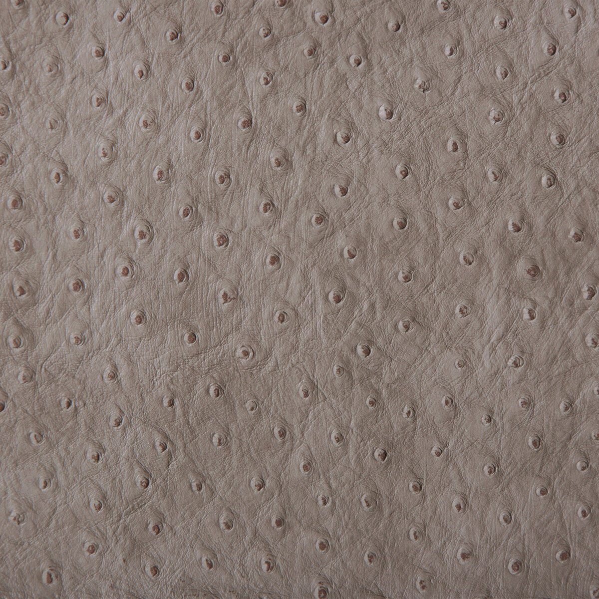 Kravet Design-Senna-11