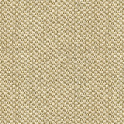 Kravet Couture-Sp-81782-68