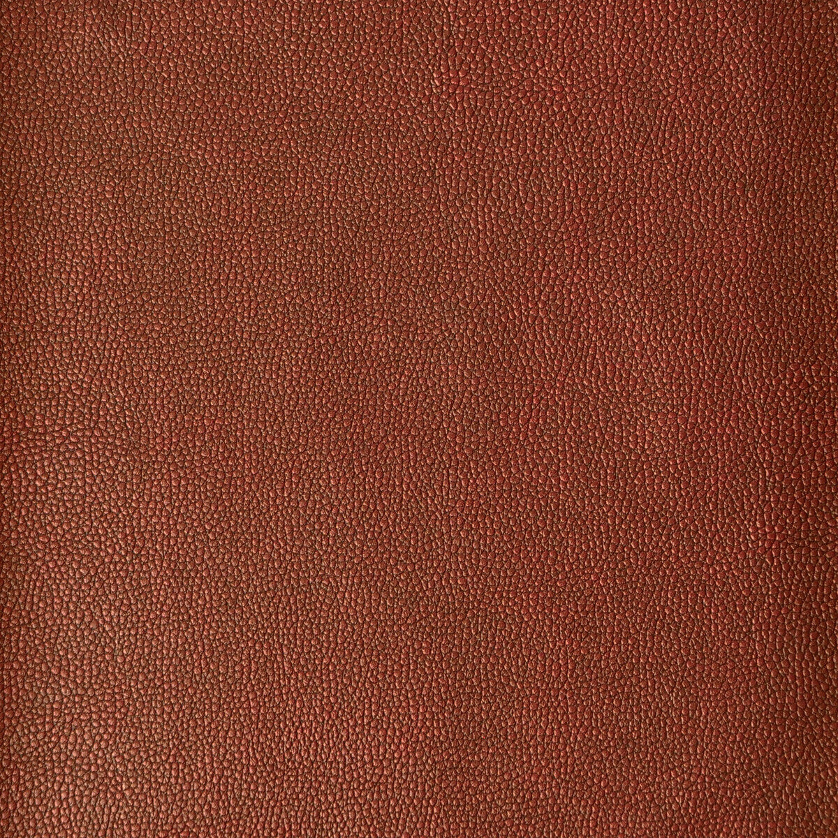 Kravet Design-Sparta-124