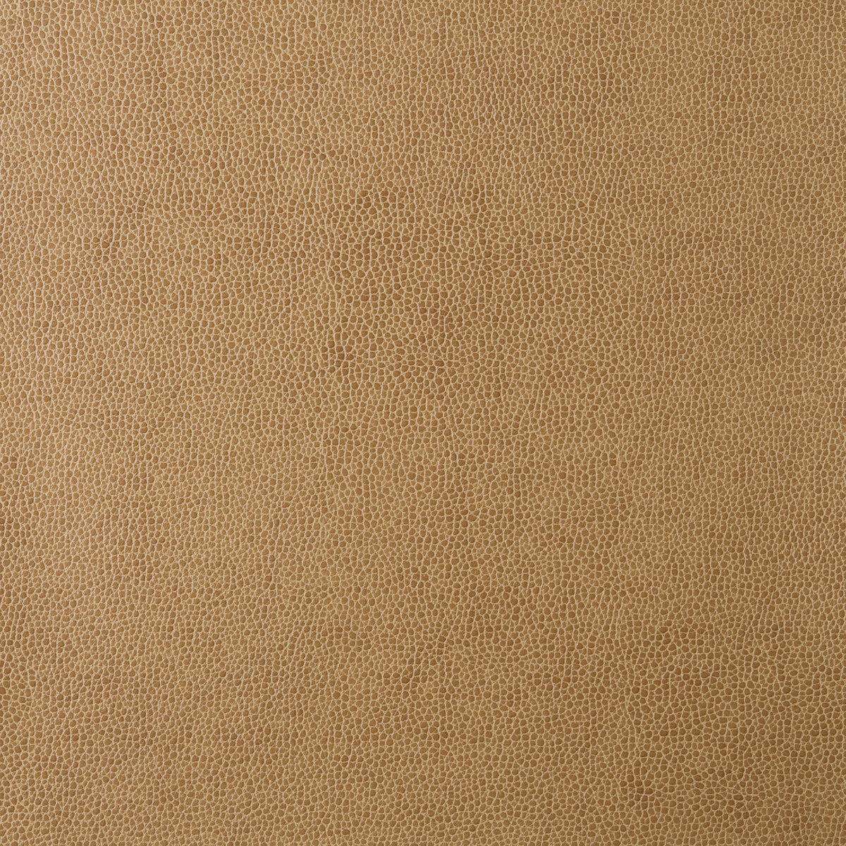 Kravet Design-Sparta-16