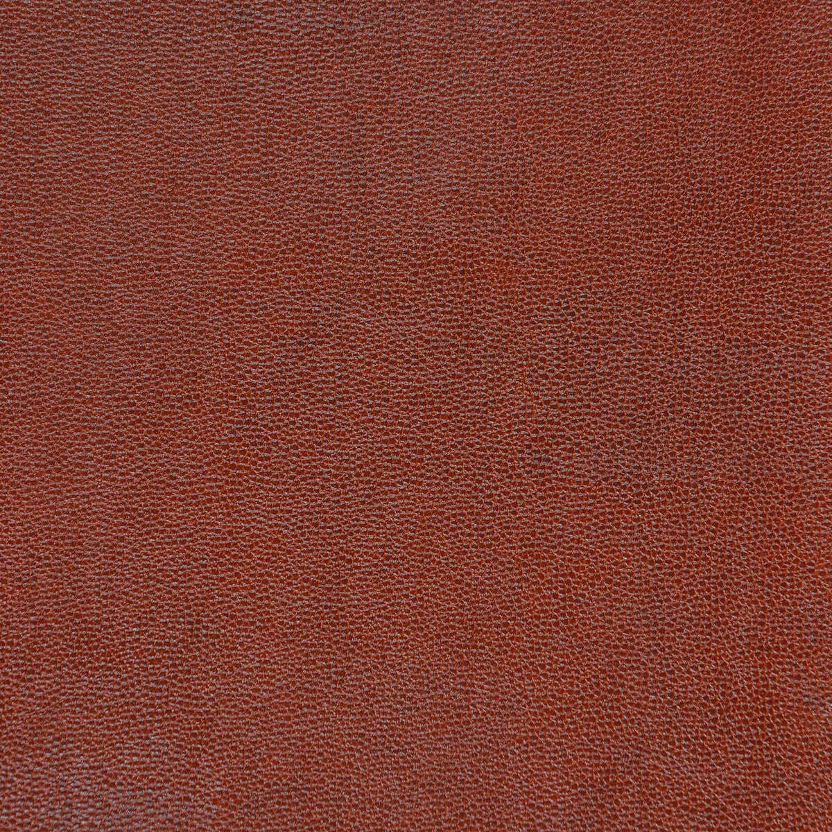 Kravet Design-Sparta-624