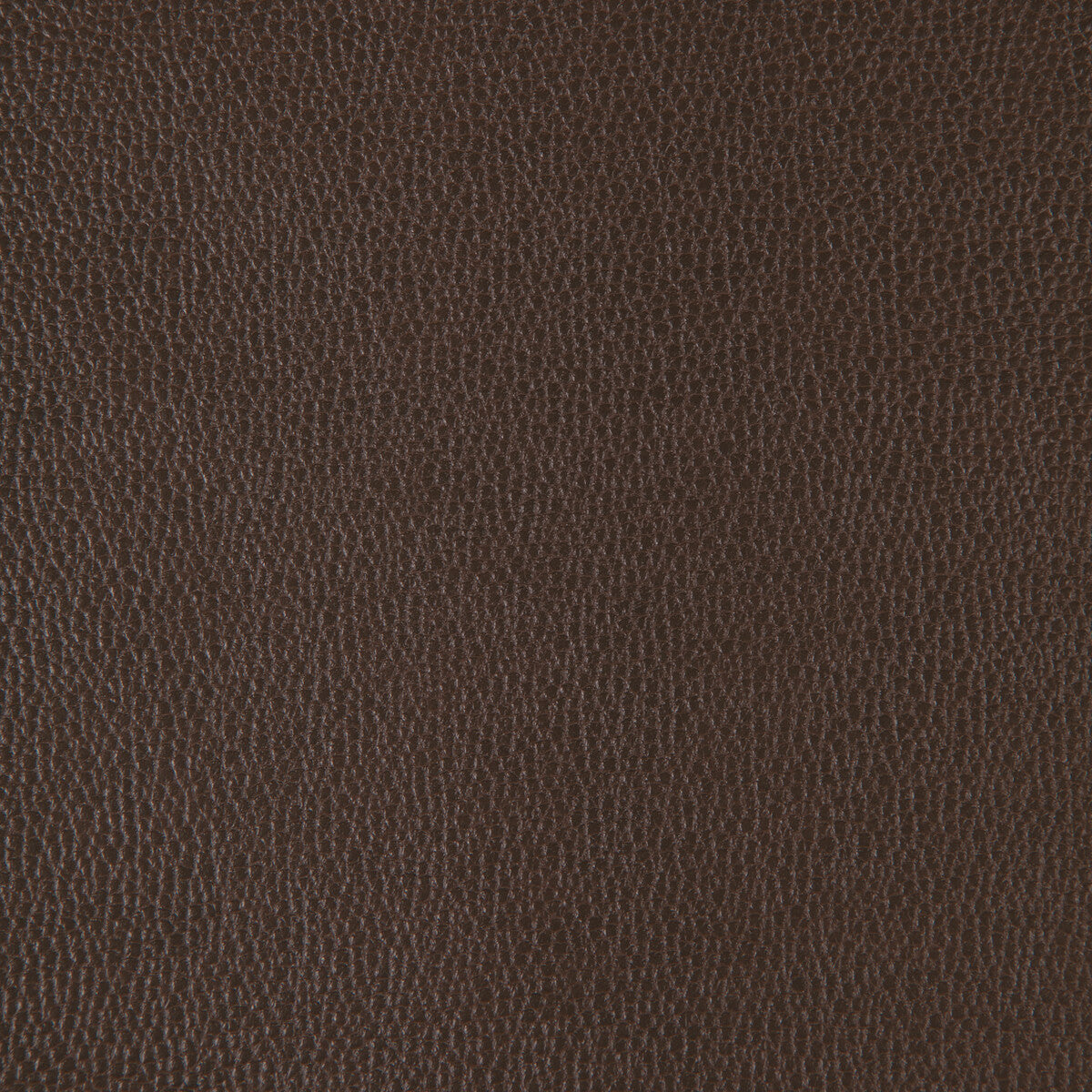 Kravet Design-Sparta-6666