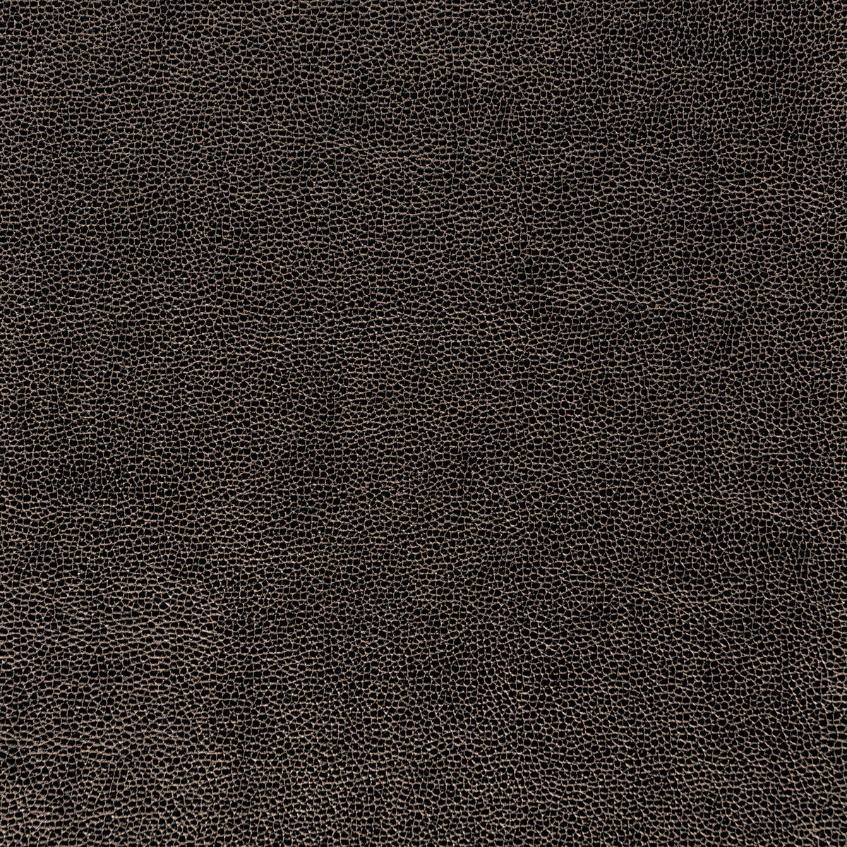 Kravet Design-Sparta-811