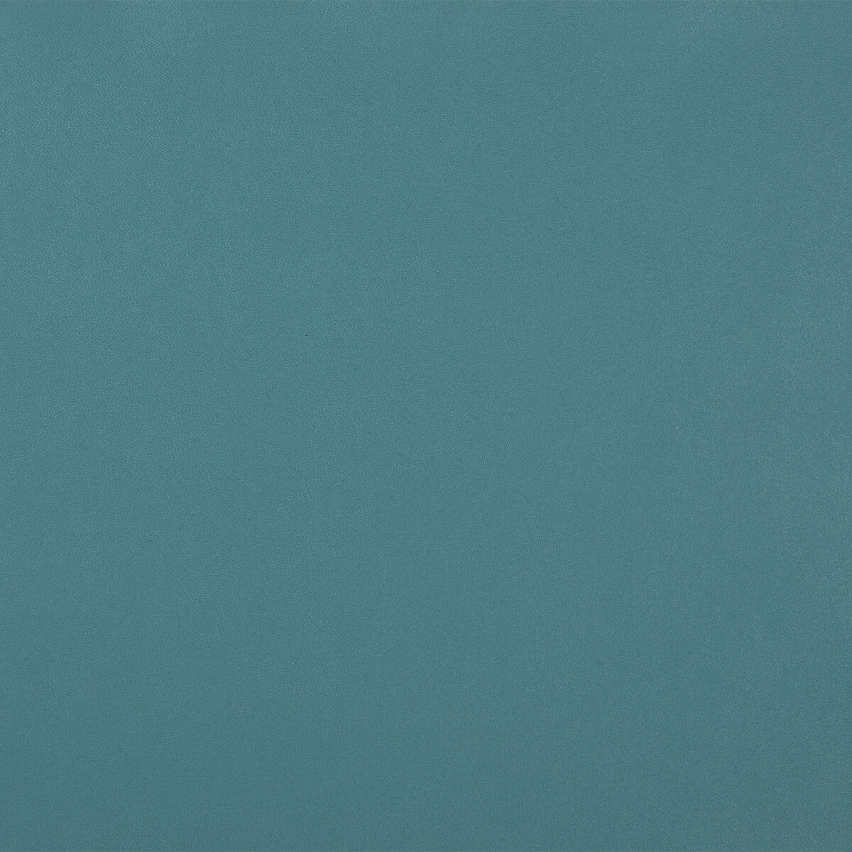 Kravet Design-Sprocket-35