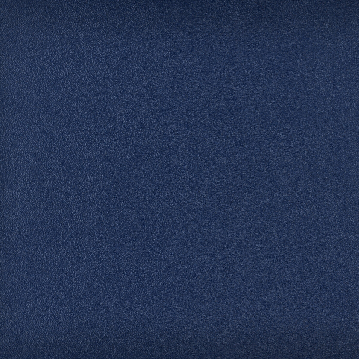 Kravet Design-Sprocket-5