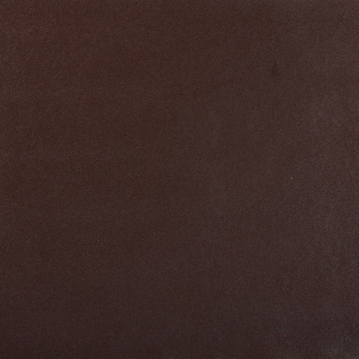 Kravet Design-Sprocket-66