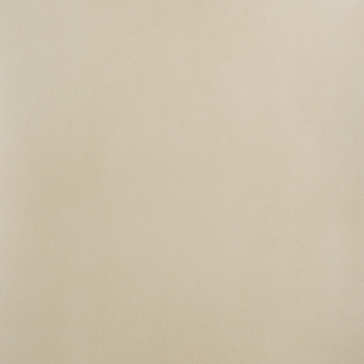 Kravet Design-Stereo-1