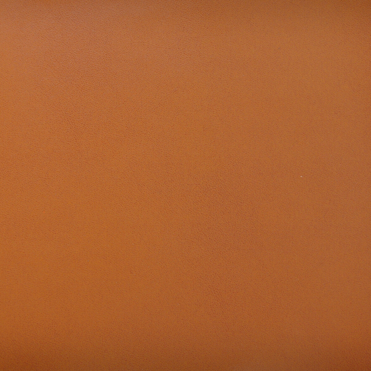 Kravet Design-Stereo-6