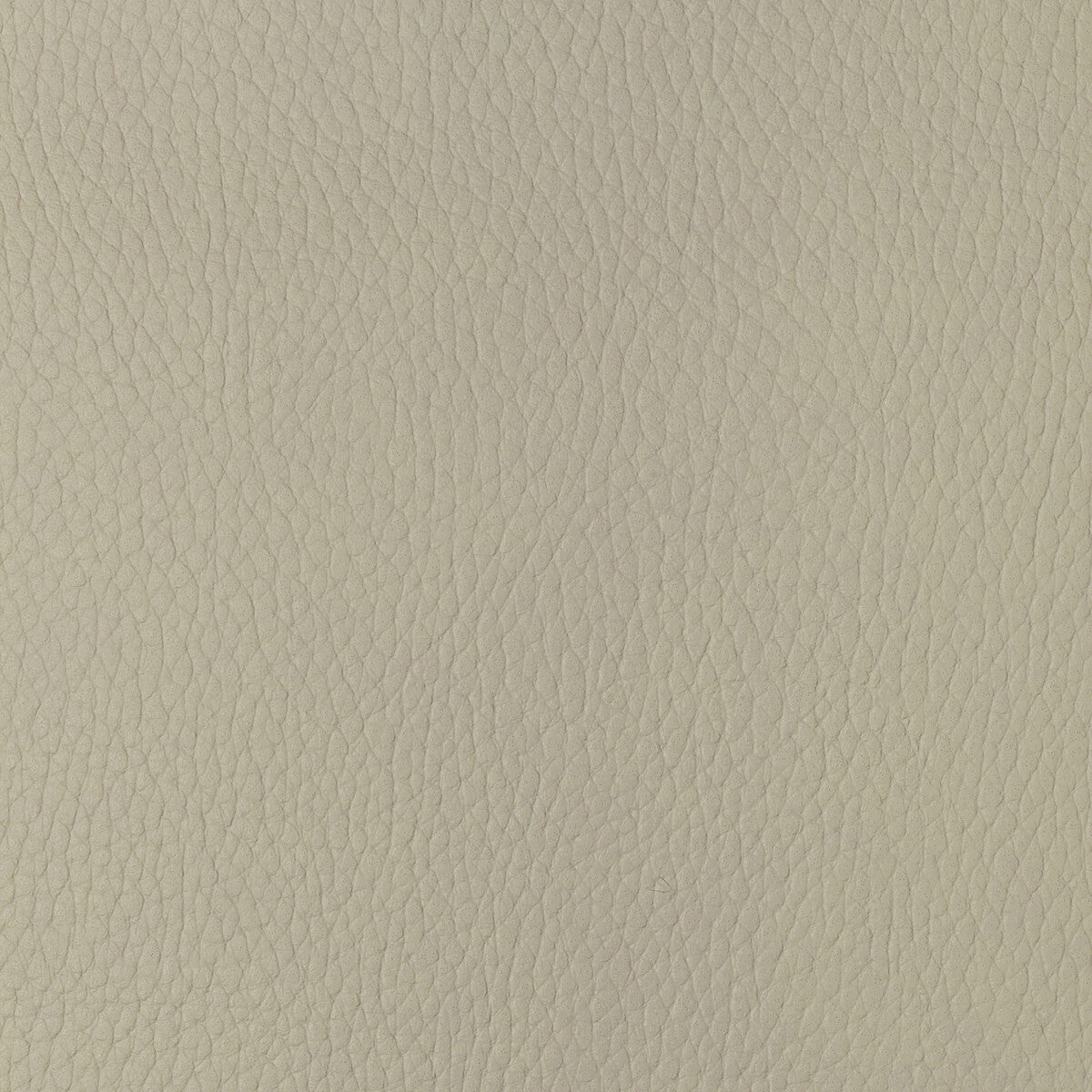 Kravet Design-Sugarmaple-1