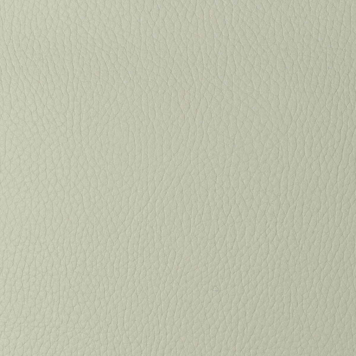 Kravet Design-Sugarmaple-101