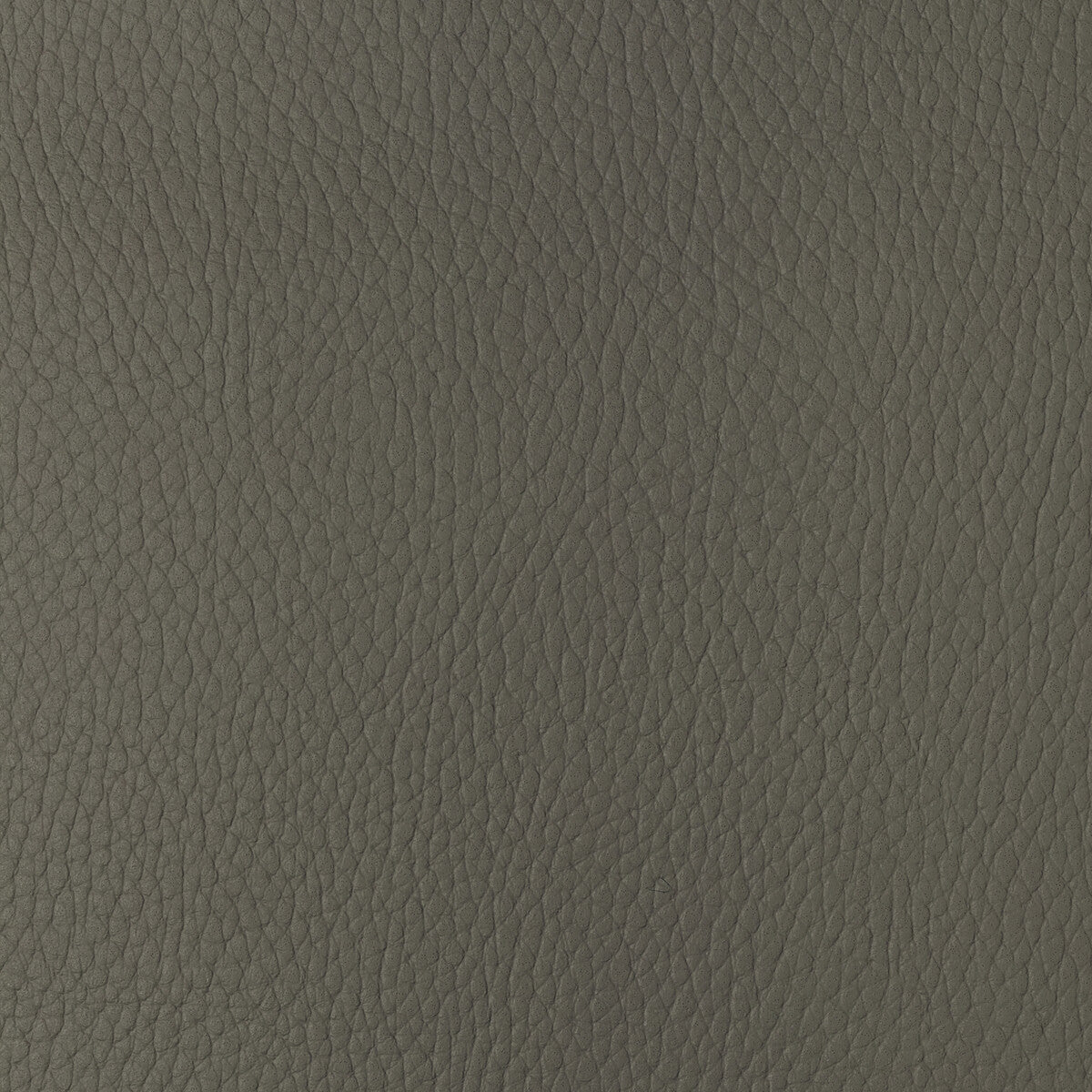 Kravet Design-Sugarmaple-11