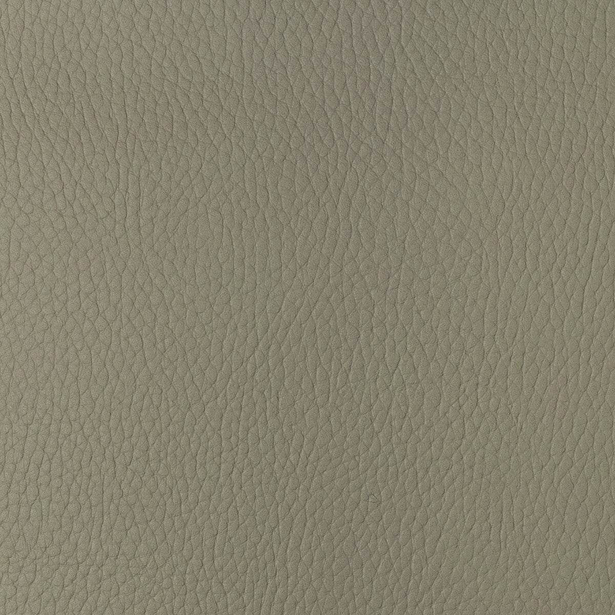 Kravet Design-Sugarmaple-116